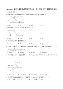 甘肃省武威市凉州区丰乐中学联片教研2023-2024学年七年级下学期7月期末数学试题