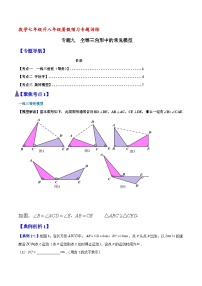 专题09 全等三角形中的常见模型（含答案）【暑假预习课堂】新八年级数学同步精讲精练（人教版）