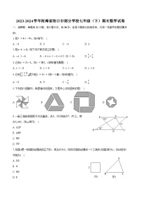 2023-2024学年海南省海口市部分学校七年级（下）期末数学试卷（含答案）