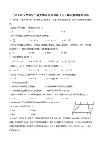 2023-2024学年辽宁省大连九中八年级（下）期末数学练习试卷（含答案）