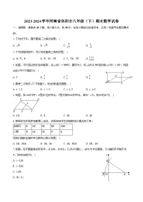 2023-2024学年河南省洛阳市八年级（下）期末数学试卷（含答案）