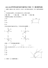 2023-2024学年河北省石家庄市新华区八年级（下）期末数学试卷（含答案）