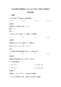 [数学][期末]广东省惠州市惠城区2023-2024学年八年级下学期期末试题(解析版)