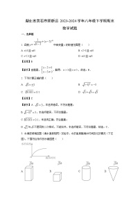 [数学][期末]湖北省黄石市阳新县2023-2024学年八年级下学期期末试题(解析版)