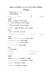 [数学][期末]安徽省六安市舒城县2023-2024学年七年级下学期期末试题(解析版)