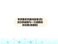 沪科版初中九年级数学上册专项素养巩固训练卷(四)反比例函数与一次函数的综合题练课件