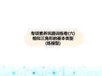 沪科版初中九年级数学上册专项素养巩固训练卷(六)相似三角形的基本类型练课件