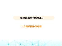 沪科版初中九年级数学上册专项素养综合练(二)二次函数图象信息题课件