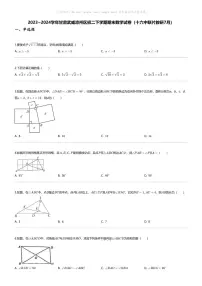 [数学][期末]2023_2024学年甘肃武威凉州区初二下学期期末数学试卷(十六中联片教研7月)