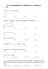 [数学][期末]2023_2024学年甘肃武威凉州区初一下学期期末数学试卷(十六中联片教研7月)
