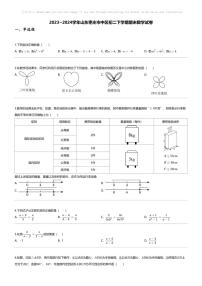 [数学][期末]2023_2024学年山东枣庄市中区初二下学期期末数学试卷