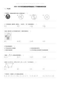 [数学][期末]2023_2024学年湖南张家界桑植县初二下学期期末数学试卷