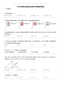 [数学]2024年内蒙古兴安盟乌兰浩特市中考模拟数学试卷