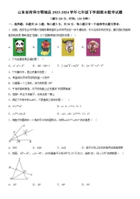 山东省菏泽市郓城县2023-2024学年七年级下学期期末数学试题（含详解）