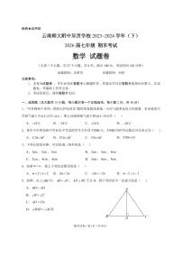 云南省昆明市呈贡区云大附中呈贡中学2023-2024学年七年级下学期期末考试+数学试题