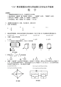 安徽省C20教育联盟2024届九年级下学期中考三模数学试卷(含答案)