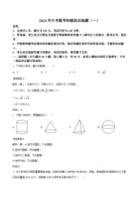 广东省阳江市阳春市2024届九年级下学期中考一模数学试卷(含解析)