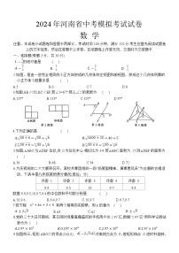 河南省周口市沈丘县三校联考2024届九年级下学期中考二模数学试卷(答案不全)