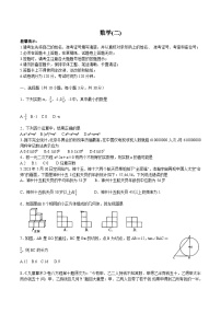 湖南省邵阳市邵东市2024届九年级下学期中考二模数学试卷(含答案)