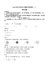 山东省潍坊市寿光市2024届九年级下学期中考一模数学试卷(含解析)