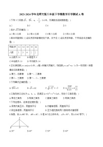 北师大版2023-2024学年八年级下学期数学开学测试A卷(含解析)