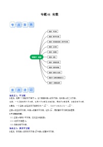 专题01 实数（原卷版讲义）