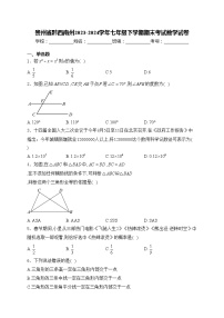 贵州省黔西南州2023-2024学年七年级下学期期末考试数学试卷(含答案)