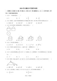 2024年安徽省中考数学试卷【含详细解析】