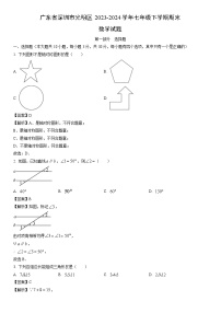 [数学][期末]广东省深圳市光明区2023-2024学年七年级下学期期末试题(解析版)