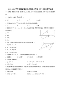 2023-2024学年安徽省滁州市凤阳县八年级（下）期末数学试卷（含答案）