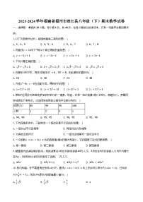 2023-2024学年福建省福州市连江县八年级（下）期末数学试卷（含答案）