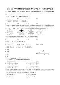 2023-2024学年湖南省衡阳市四校联考七年级（下）期末数学试卷（含答案）