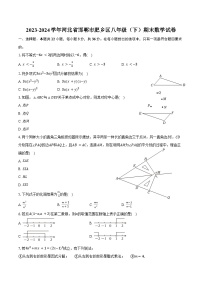 2023-2024学年河北省邯郸市肥乡区八年级（下）期末数学试卷（含答案）