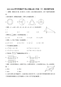 2023-2024学年河南省平顶山市鲁山县八年级（下）期末数学试卷（含答案）