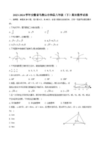 2023-2024学年安徽省马鞍山市和县八年级（下）期末数学试卷（含答案）