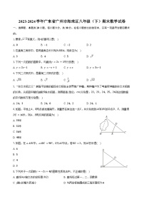 2023-2024学年广东省广州市海珠区八年级（下）期末数学试卷（含答案）