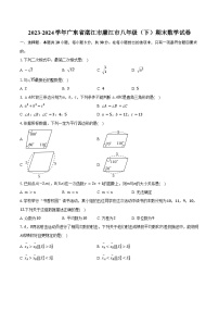 2023-2024学年广东省湛江市廉江市八年级（下）期末数学试卷（含解析）