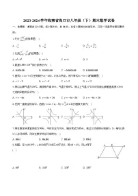 2023-2024学年海南省海口市八年级（下）期末数学试卷（含答案）