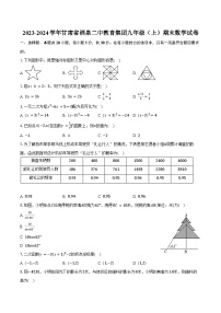 2023-2024学年甘肃省酒泉二中教育集团九年级（上）期末数学试卷（含答案）