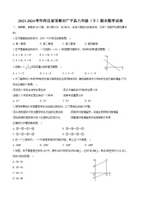 2023-2024学年河北省邯郸市广平县八年级（下）期末数学试卷（含答案）