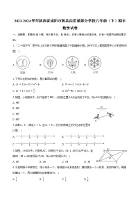 2023-2024学年陕西省咸阳市乾县注泔镇部分学校八年级（下）期末数学试卷（含解析）