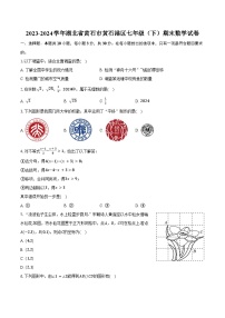 2023-2024学年湖北省黄石市黄石港区七年级（下）期末数学试卷（含答案）