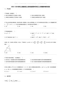 [数学][期中]2023_2024学年上海静安区上海市田家炳中学初三上学期期中数学试卷