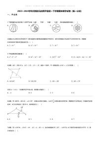 [数学][期末]2023_2024学年河南驻马店西平县初一下学期期末数学试卷(施一公班)