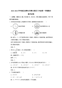 湖北省黄石市黄石港区2023-2024学年八年级上学期期末检测数学试卷(含解析)