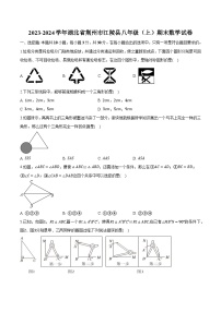 湖北省荆州市江陵县2023-2024学年八年级上学期期末考试数学试卷(含解析)