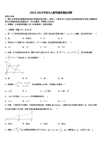 2022-2023学年安徽省亳州利辛县联考数学九年级第一学期期末考试模拟试题含解析