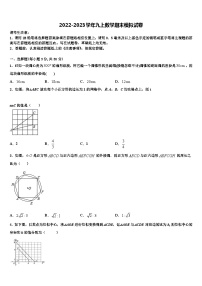 重庆市北碚区2022年数学九年级第一学期期末综合测试模拟试题含解析