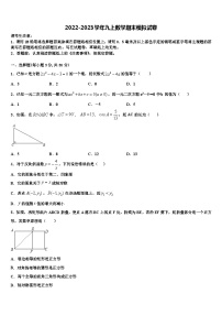 重庆市璧山区青杠初级中学2022-2023学年九年级数学第一学期期末质量跟踪监视模拟试题含解析