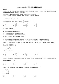 重庆市兼善教育集团2022-2023学年数学九上期末预测试题含解析